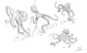 Pin On Nature Animal Sketches