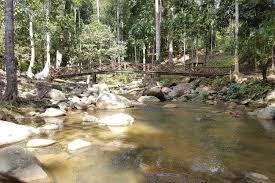 Pada sore musim panas, anda akan berkesempatan. Air Terjun Di Kedah Percutian Bajet