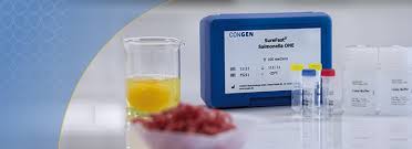 Continuing public health challenge // clinical infectious diseases. Risiko Salmonellen Was Lebensmittelbetriebe Jetzt Wissen Mussen
