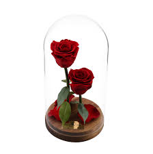 Conta di odjo meaning in the cape verdean culture the evil bead. Live Forever Rose In Glass Dome Mother Gift Home Decor Real Etsy Forever Rose Enchanted Rose Eternal Rose