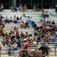 Ancient City Pro Rodeo at Ancient City Farmstead event image