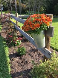 Fall Mums In A Sap Bucket Jardines Patios Traseros Adorno Jardin