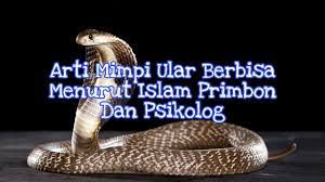 Mimpi bunuh ular hitam menurut islam. Arti Mimpi Ular Berbisa Menurut Islam Primbon Dan Psikolog Youtube