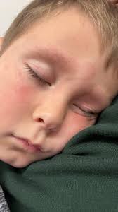 Day 2 is gearing up to be quite a long day. We left out around 3 am this  morning to make it back to Cincinnati and this morning he was pretty upset