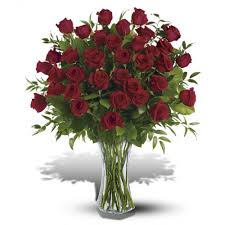 Check spelling or type a new query. 3 Dozen Long Stemmed Roses In Racine Wi Petals By Felicia