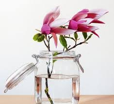 6 TIPS PARA CONSERVAR TUS FLORES FRESCAS POR MÁS TIEMPO