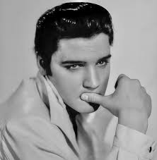 Elvis Presley's experience with neighbors at Graceland