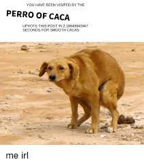 You Have Been Visited By The Perro Of Caca Upvote This Post In 219843840947 Seconds For Smooth Cacas Smooth Meme On Me Me