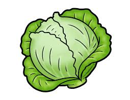 Cabbage Illustration Illustration Cabbage Vegetable Cartoon Vegetable Pictures Easy Drawings For Kids How to draw town and sunset illustration drawing. cabbage illustration illustration