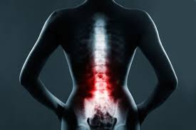 Low Back Pain Facts and Figures