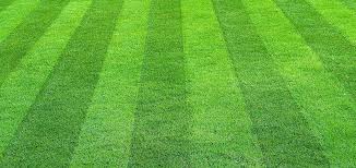 Available within roland cloud manager learn more. Chorbie Home Services Mowing Lawn Care Pest Control Landscaping