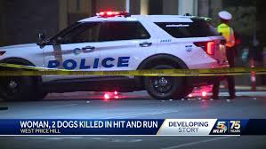 Police: Woman, 2 dogs killed in West Price Hill hit-and-run