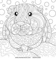 Select from 35970 printable crafts of cartoons, nature, animals, bible and many more. Pin On C Animales 08