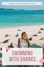 Swimming With Pigs And Sharks On A Day Trip To The Exumas Bahamas Exuma Bahamas Island Travel Exuma