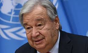 Olivia Christie: All their latest coverage