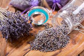 Es kann durchaus vorkommen, dass ein im sommer beschnittener lavendel im herbst noch eine zweite blüte hervorbringt. Lavendel Trocknen Weiterverwenden Plantura