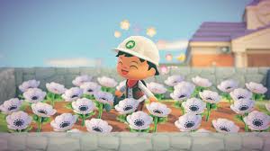 They will randomly generate throughout the town once a new save file is created. How To Get Different Flowers Animal Crossing New Horizons Shacknews