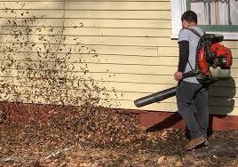 Greenworks pro 80v (145 mph / 580 cfm) cordless backpack leaf blower, 2.5ah battery and charger included bpb80l2510 4.3 out of 5 stars 684 $349.99 $ 349. Atlanta Seeking To Curb Use Of Gas Powered Leaf Blowers Saportareport