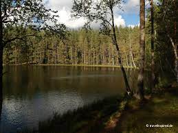Infos und fotos aus lettland. Lettland Roadtrip Natur Pur In Lettgallen