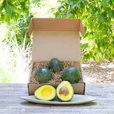 Image result for Dark Avocado 1983 Fedders