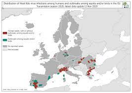 West nile virus (wnv) is transmitted to humans primarily through the bite of an infected mosquito. West Nile Virus In Europe In 2020 Infections Among Humans And Outbreaks Among Equids And Or Birds Updated 12 November 2020