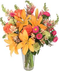 I was passing by and i had to turn around and come check this place out. Jacksonville Florist Jacksonville Fl Flower Shop St Johns Flower Market