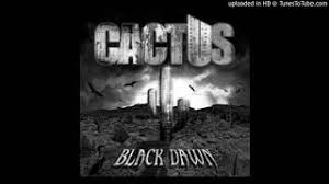 There are three cactus patches, found in al kharid, in the imperial district in menaphos, and by the northern totem hotspot on anachronia. Black Dawn Cactus Youtube