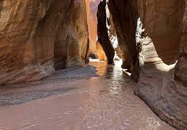 It is one of the main tributaries of the paria river, which is itself a minor tributary of the colorado river. Backpacking Paria Canyon Maps Trailheads Itinerary More