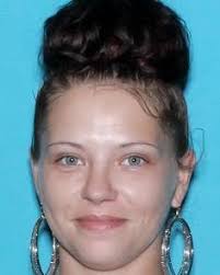 Delaware State Police added a new...