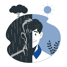 Image result for Bipolar Disorder