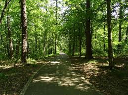 Dumbrava sibiului natural park was declared a natural protected area by law number 5, of march 6, 2000. The Dumbrava Sibiului Natural Park