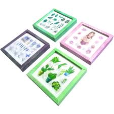 You need enchanted cactus green to upgrade the later levels of the cactus minion, which is made with 5 stacks of 32 cactus green. Kawaii Washi Sticker Set 4 Box 80 Sheets Cute Purple Balloon Flower Heart Bird Cute Girl Whale Fish Castle Succulents Cactus Green Plant Tree Vegetable Stationery Scrapbook Planner Art Craft Lable Amazon In