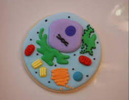 The edible animal cell model is great!!! Cell Cookie Edible Cell Project Cells Project Edible Cell