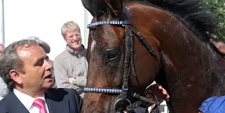 Diese pferde müssen meist noch komplett umgeschult werden und das ist eine sehr aufwendige arbeit, das sollte dir bewusst sein. Trainer Hamburger Renn Club