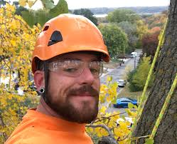 McClellan Tree Service