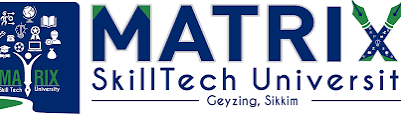 Partner University 2