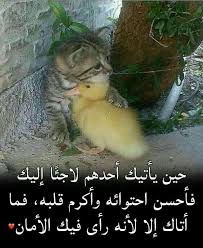 Pin By Alshofeery On كلمات لها معنى In 2021 Children Photography Poses Animals Children Photography