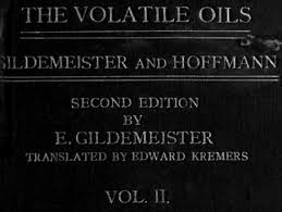 Image result for Scorodophloeus fischeri