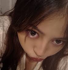 Who can replace a door in Laveen?