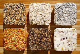 Pin By Gary Motz On Outdoor Places Spaces Homemade Bird Feeders Bird Food Suet Cakes