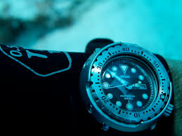 Image result for diving watch