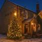Christmas Tree Light Up  event image