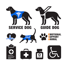 Service Emotional Support And Therapy Animals Explained
