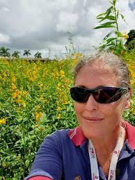 Dancing in the Storm and Roaming in the Sun