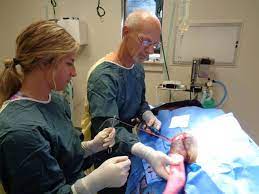 Stenette brooks, our hospital offers compassionate patient care through every stage of. Madison Pet Clinic Home Facebook