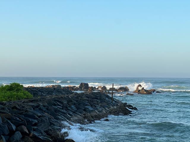 Midigama Lazy Left longboard surf wave south coast Sri Lanka intermediate