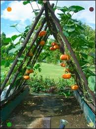 A New Way To Grow Pumpkins If In A Windy Area Be Careful Where You Position It Con Imagenes Decoraciones De Jardin Torre De Maceta Jardines
