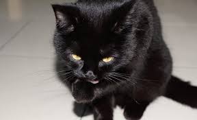 O alta datina spune ca in ajunul anului. Top Superstitii De An Nou Ce Sa Faci Si Ce Sa Nu Faci Ca Sa Iti Mearga Bine La Anul Sfatulparintilor Ro