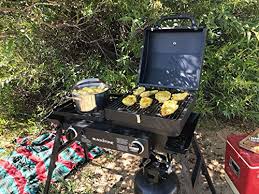 Check spelling or type a new query. Blackstone Tailgater Portable Gas Grill And Griddle Combo Pricepulse