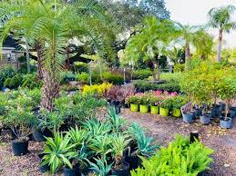 Open 7 days a week. Plants Shrubs